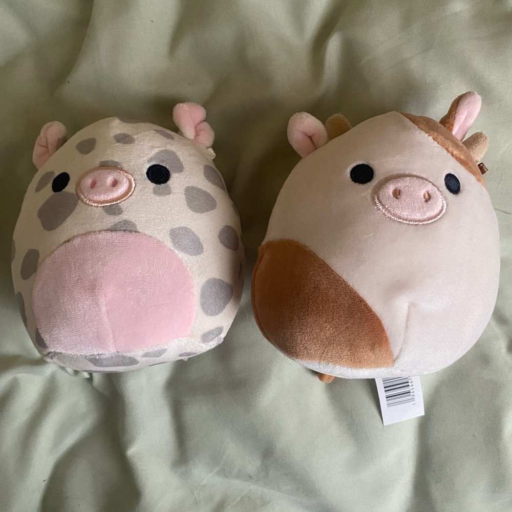 Mini squishmallows